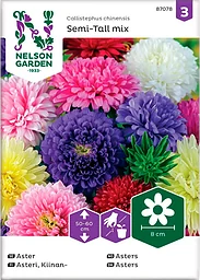 Aster Dubbel