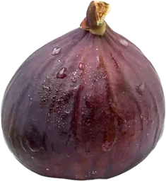 Fikon