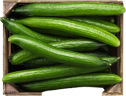 Gurka Eko