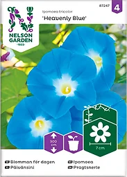 Blomman För Dagen Heavenly Blue