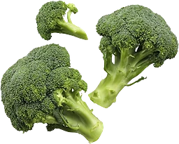Broccoli