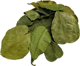 Limeblad