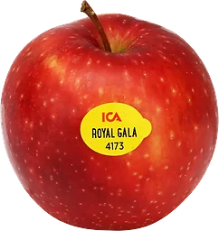Äpple Royal Gala ca Klass 1