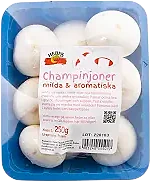 Champinjoner