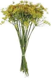 Krondill