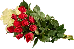 Rosor 50 cm