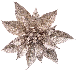 Julblomma guld