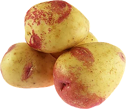 Potatis Mjölig Klass 1
