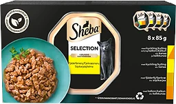 Kattmat Fågel delikatess