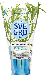 Fransk Dragon i kruka Ekologisk 1-p KRAV