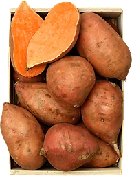Sötpotatis Eko