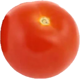 Tomat Runda Sverige