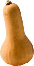 Pumpa Butternut ca Klass 1 ICA