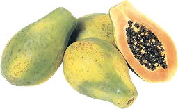 Papaya Ätmogen