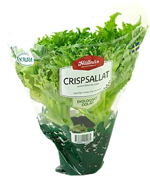 Sallat Crisp Eko Kruka