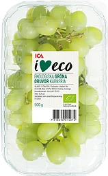 Druva Thompson gröna kärnfria seedless Klass 1
