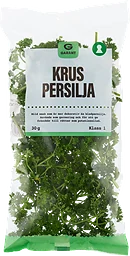 Persilja Krus
