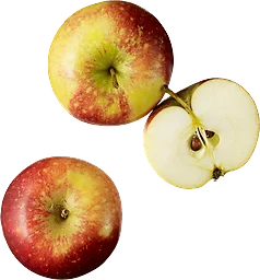Äpple