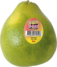 Röd Pomelo JFR ca Klass 1