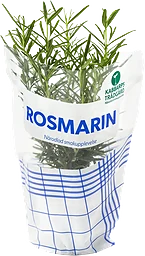 Rosmarin 1-p