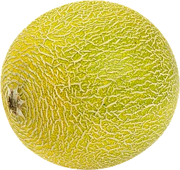 Melon Galia