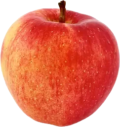 Äpple Royal Gala