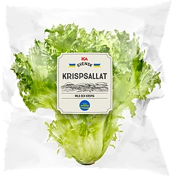 Krispsallat Klass 1