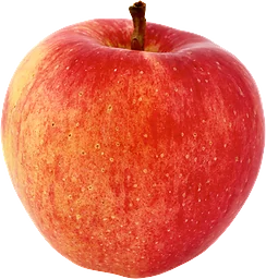 Äpple Royal Gala Klass 1