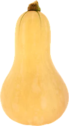 Pumpa Butternut