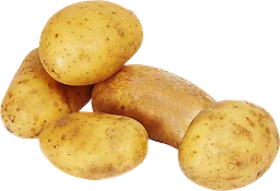 Potatis Fast