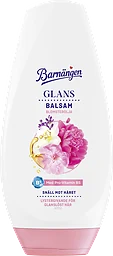 Balsam Glans