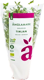 Timjan Eko
