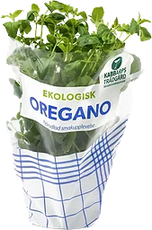 Oregano Ekologisk 1-p