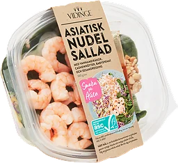 Asiatisk Nudel Sallad