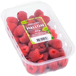 Hallon Klass 1