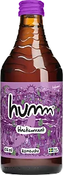 Kombucha Svartvinbär