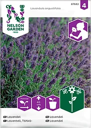 Lavendel 1-p