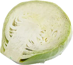 Vitkål Delad
