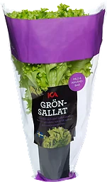 Grönsallat i kruka 1-p Klass 1