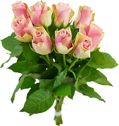 Rosor 9-pack 40cm