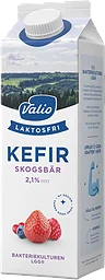 Skogsbär