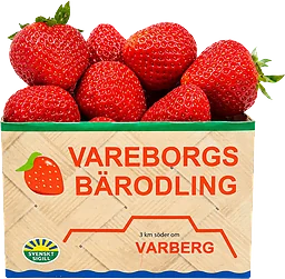 Jordgubbar Svenska