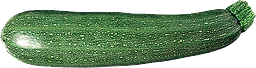 Zucchini Grön