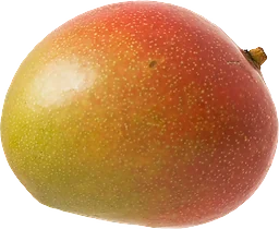 Mango stor ca Klass 1 ICA