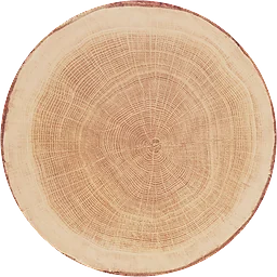 Tallriksunderlägg Tree Kork