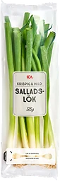 Salladslök Klass 1