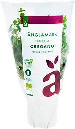 Oregano Eko Kruka
