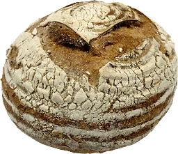 Levain