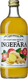 Äppelsaft Med Smak Av Ingefära