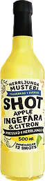 Shot ingefära & citron